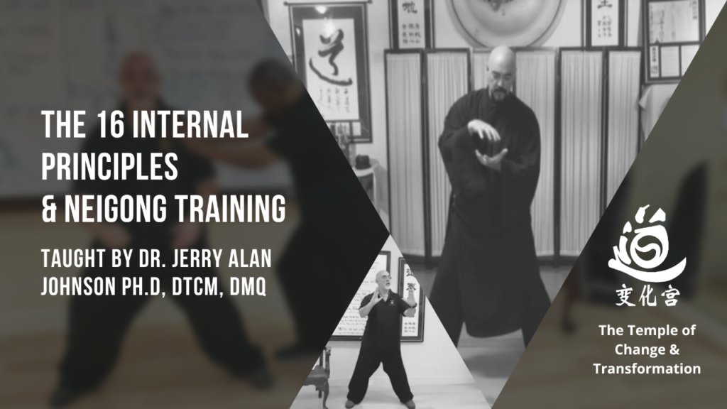 The 16 Internal Principles & Neigong Training (S8)
