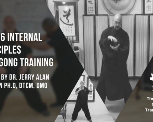 The 16 Internal Principles & Neigong Training (S8)
