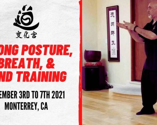Qigong Applications, Prescriptions & Healing Meditations (S4)
