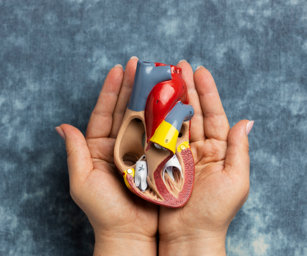 Treatment of Internal Organ Diseases
