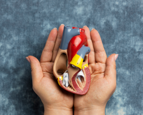 Treatment of Internal Organ Diseases
